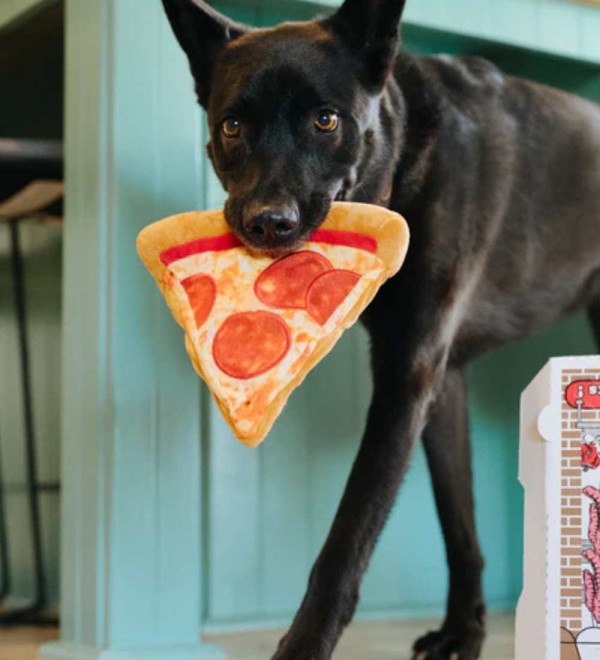 Plush toy for dogs Pizza