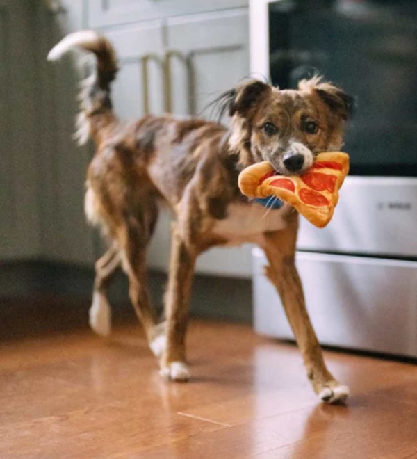 Plush toy for dogs Pizza