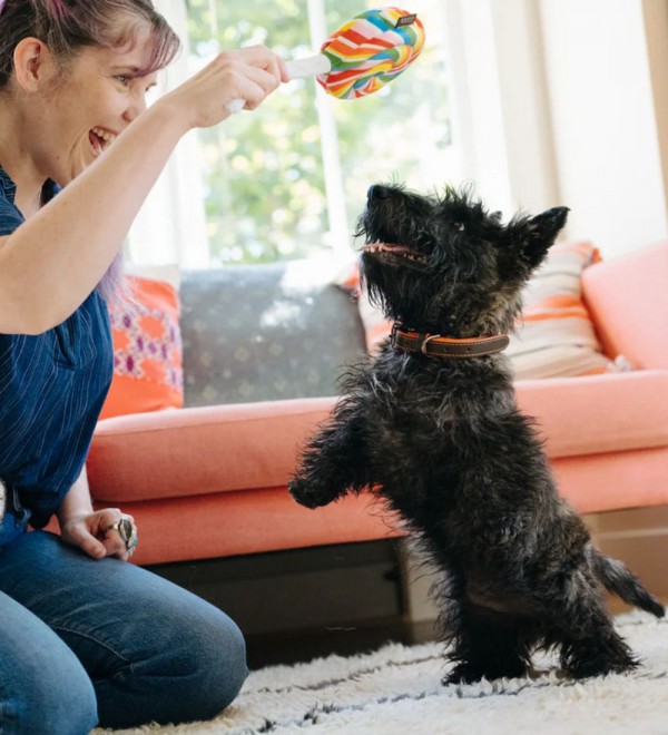 Peluche para perros Piruleta