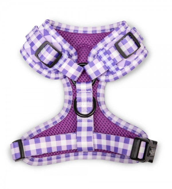 Adjustable Harness for Dogs in Purple Vichy