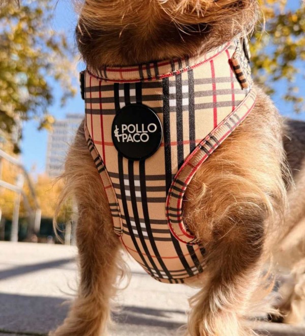 Adjustable harness for dogs London