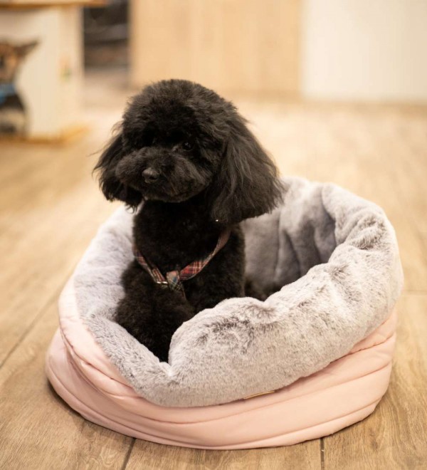 Combo Cozy Riga Rosa