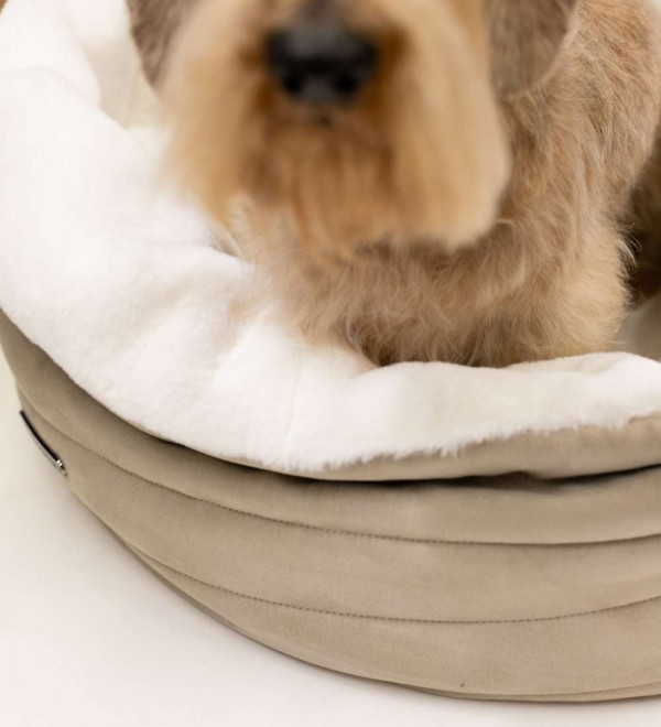 Combo Cozy Nunavik Topo