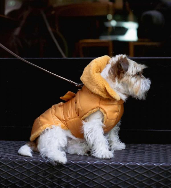 Mustard Feather Dog Coat