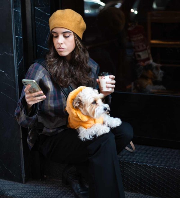 Mustard Feather Dog Coat