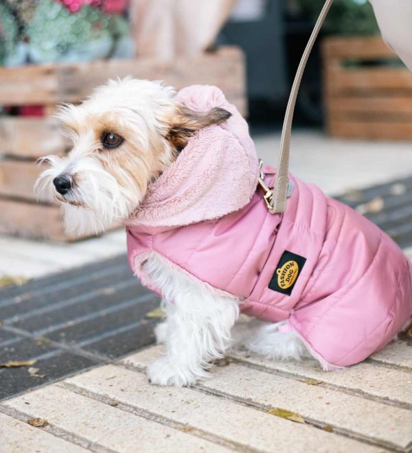 Dog Coat Pink Feathers