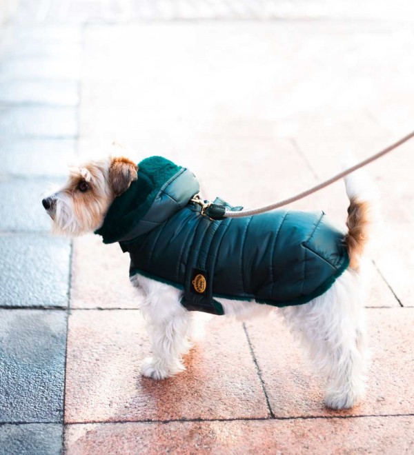 Dog Coat Puffer Green