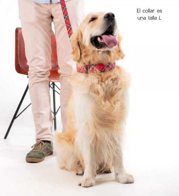 Dog Collar Textured Tremp