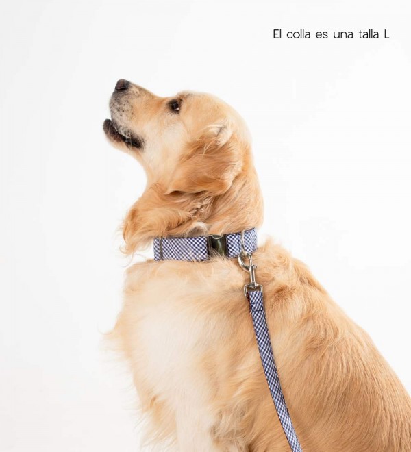 Collar Dog Texture Calonge