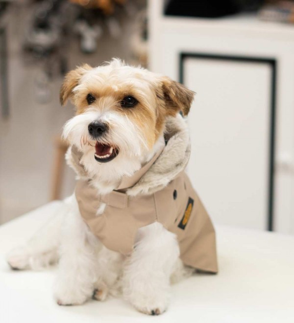 Impermeable para Perro con Forro Beige