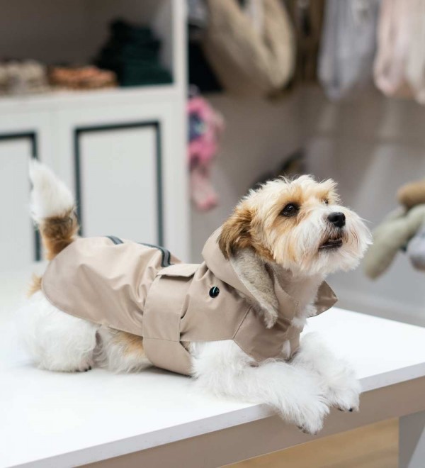 Impermeable para Perro con Forro Beige