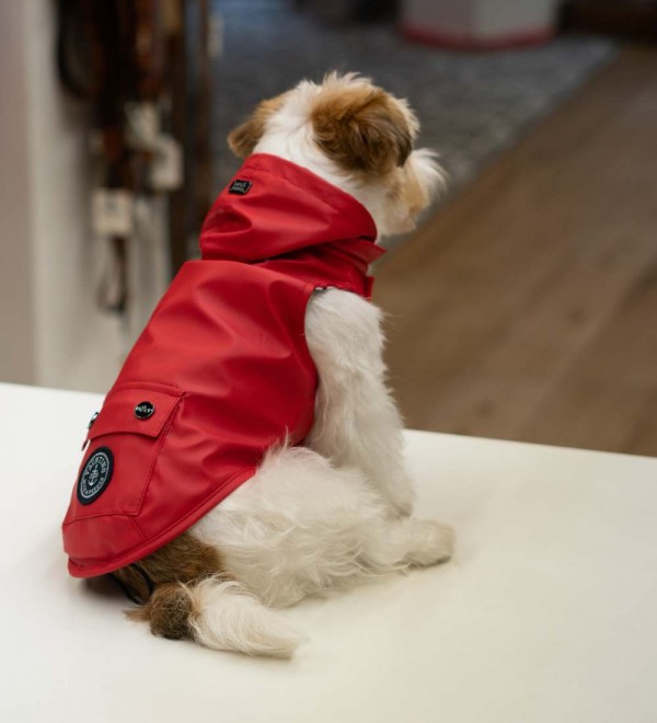 Impermeable para perros Babord Rojo