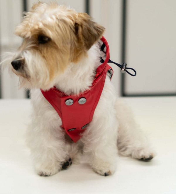 Impermeable para perros Babord Rojo