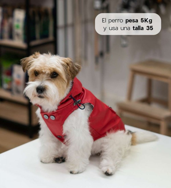 Impermeable para perros Babord Rojo