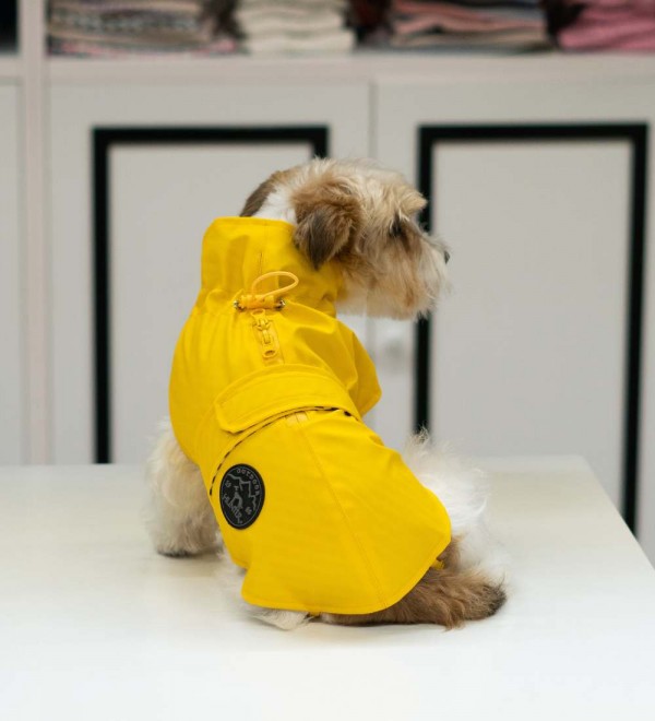 Yellow Milford dog raincoat