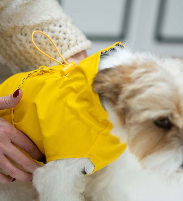 Impermeable para perros Amarillo Milford