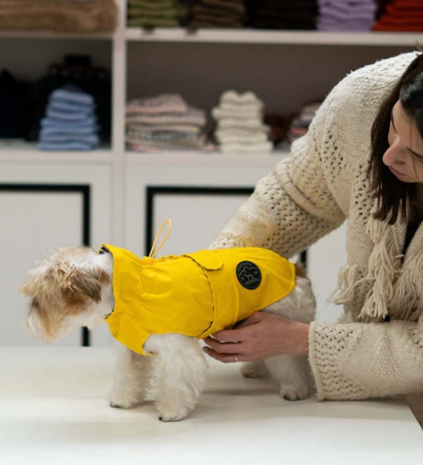 Impermeable para perros Amarillo Milford