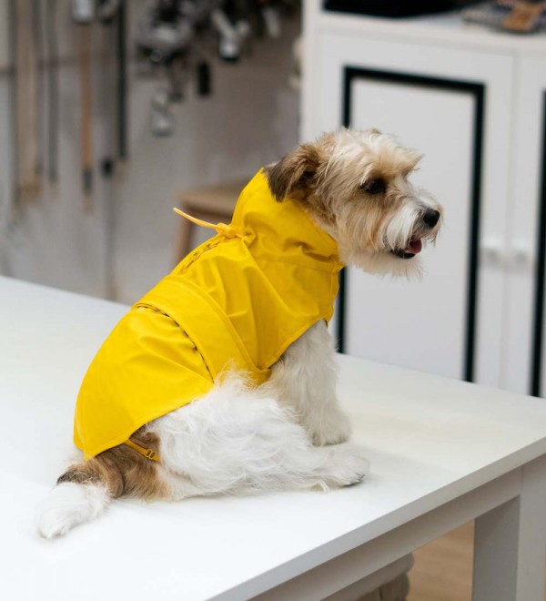 Impermeable para perros Amarillo Milford