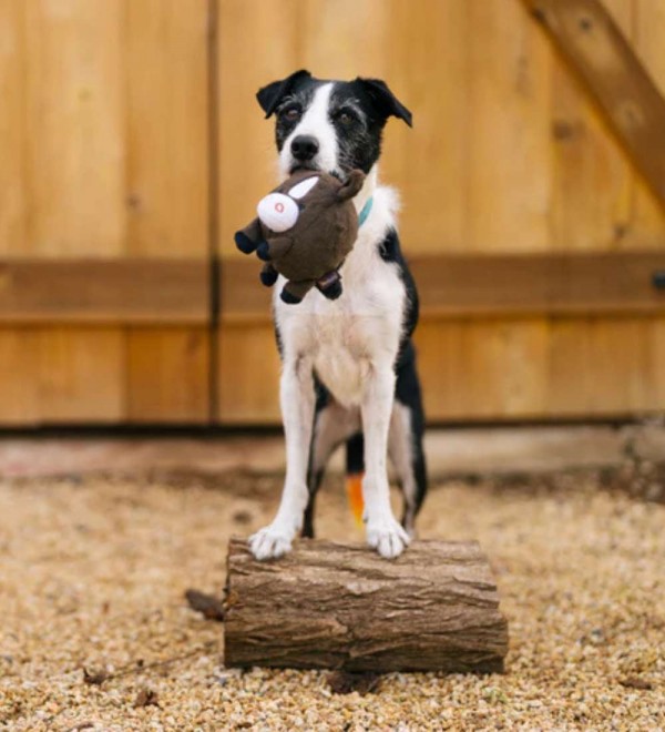 Plush Toy for Dogs Horse