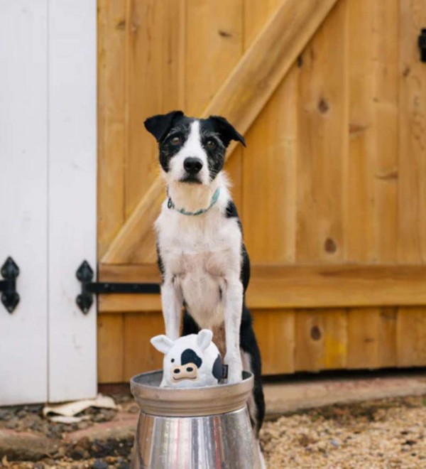Plush Cow Dog Toy