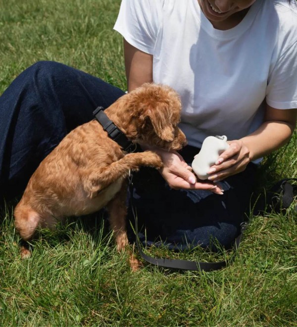 Porta Premios Para Perros Beige