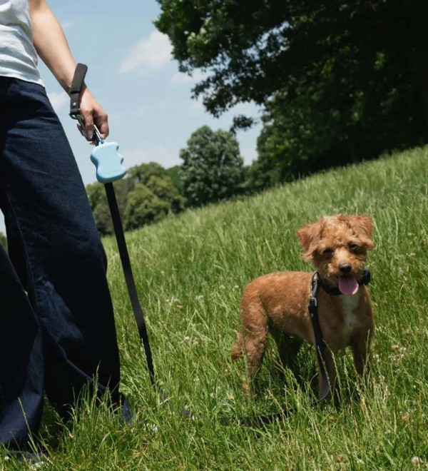 Porta Premios para Perros Azul