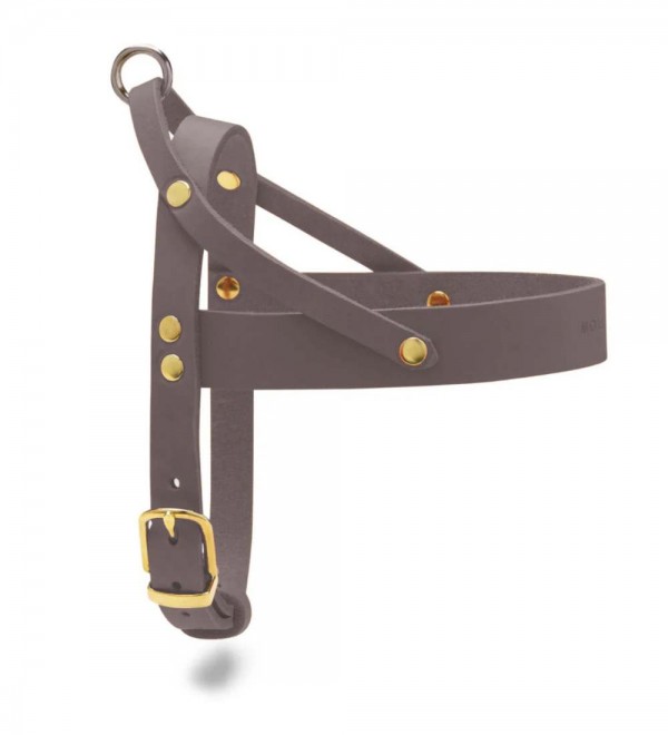 This phrase does not seem to have a clear meaning in Spanish. "Arnés" translates to "harness" and "topo" translates to "mole." It is possible that "Butter Topo" is a name or brand, but without further context, it is difficult to provide an accurate transl