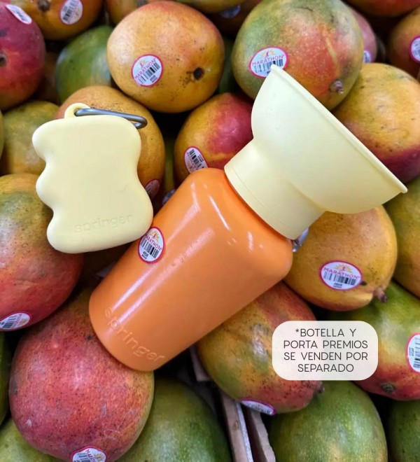 Flip Mango/Lemon Drinking Bottle