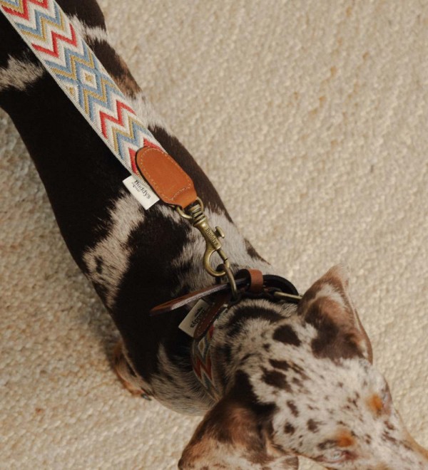 Correa para perro Naya Zigzag