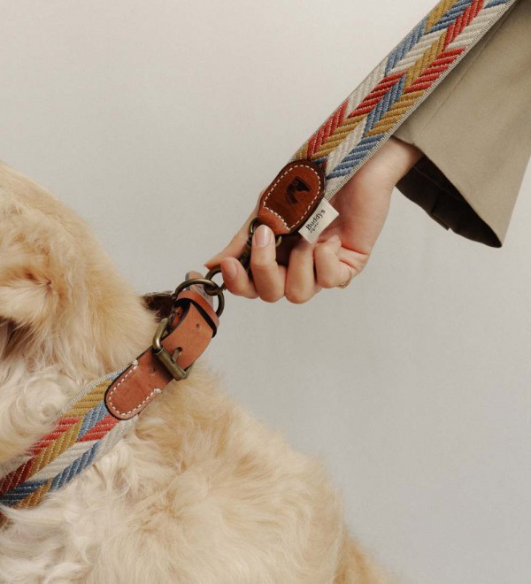 Collar para perro Naya Puzzle