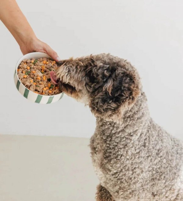 Lata de Pollo para perros - Filosofía BARF