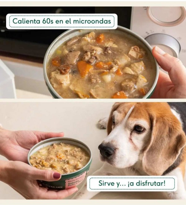 Cazuela Casera de Boquerón, Pavo y Manzana para perros 280g