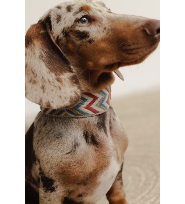 Collar para perro Naya ZigZag