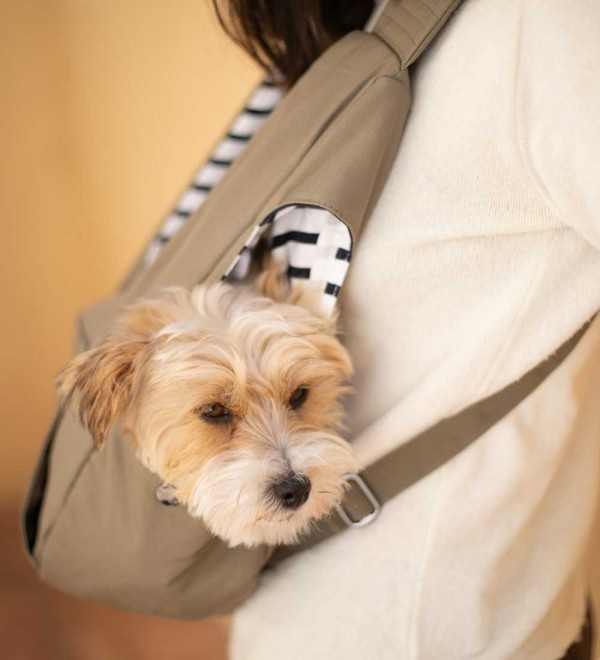 Armel front dog backpack