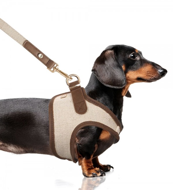 Arnés para perros Java