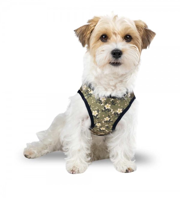 Arnés para perros Bethany