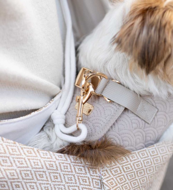 Bandolera para perros Mahdi Crema