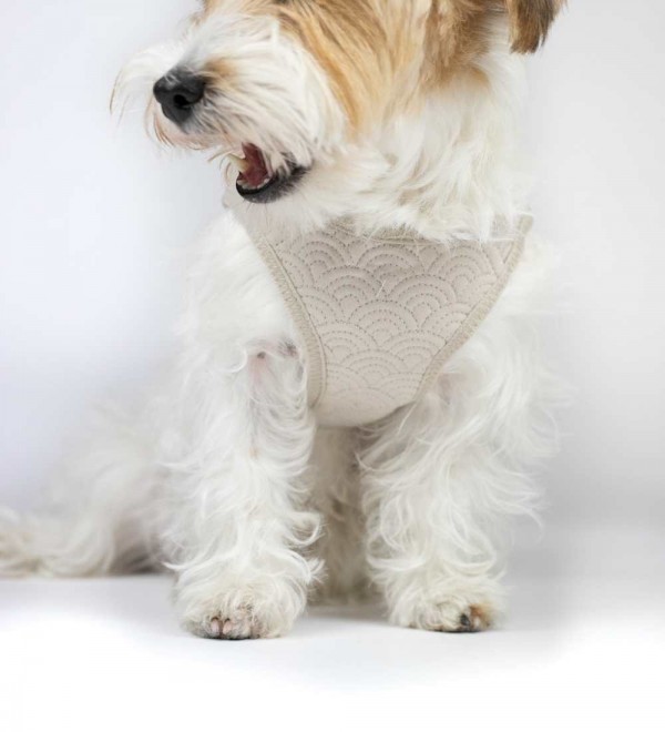 Arnés para perros Fuyi Topo