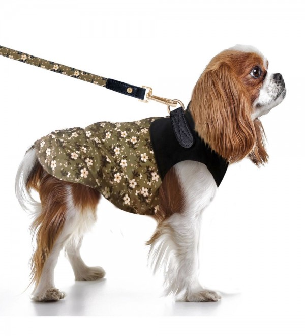 Waterproof with Harness Mary