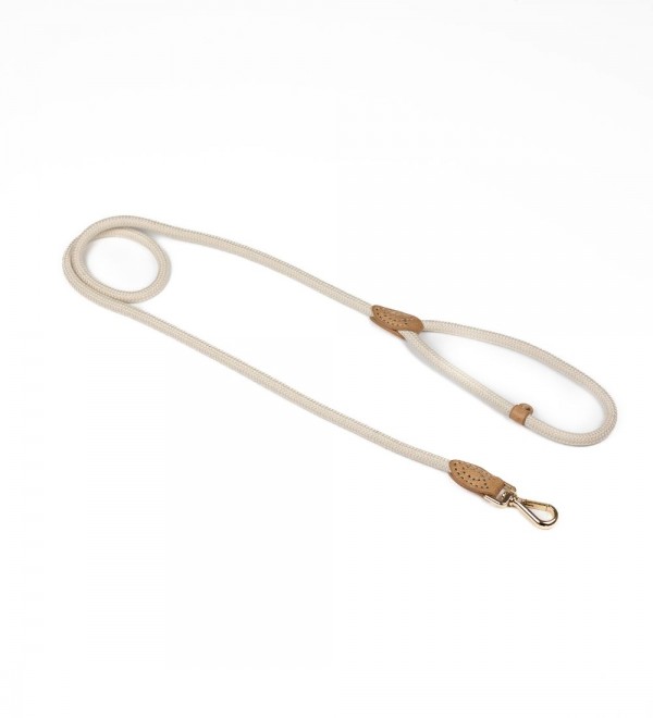 Correa para perro pequeño Kaya