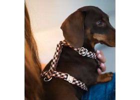 Arnés para perro en H Montserrat