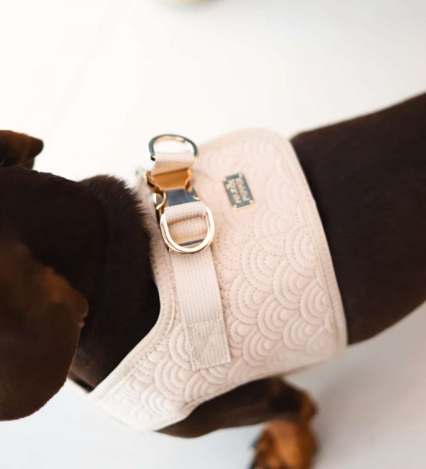 Arnés para perros Fuyi Topo