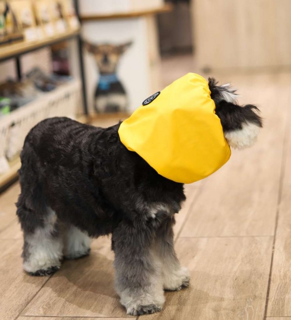 Snood Servan. Ear cover for dogs.