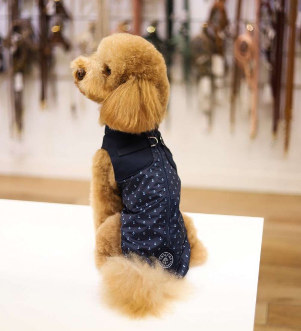 Waterproof with harness Ivonig