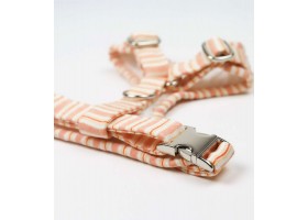 Arnés Ajustable Pomelo y Limón