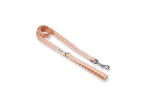 Correa Pomelo y Limón