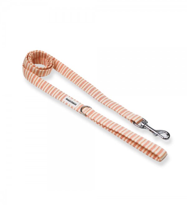 Correa Pomelo y Limón