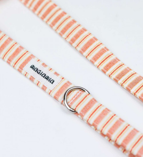 Correa Pomelo y Limón