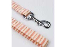 Correa Pomelo y Limón