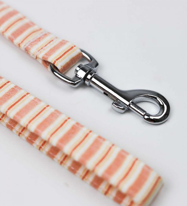 Correa Pomelo y Limón